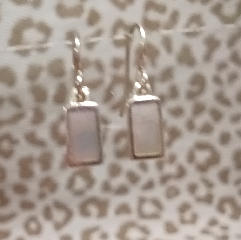 Silver Rectangular Drop Earrings with Opalescent Inlay - Women Jewelry